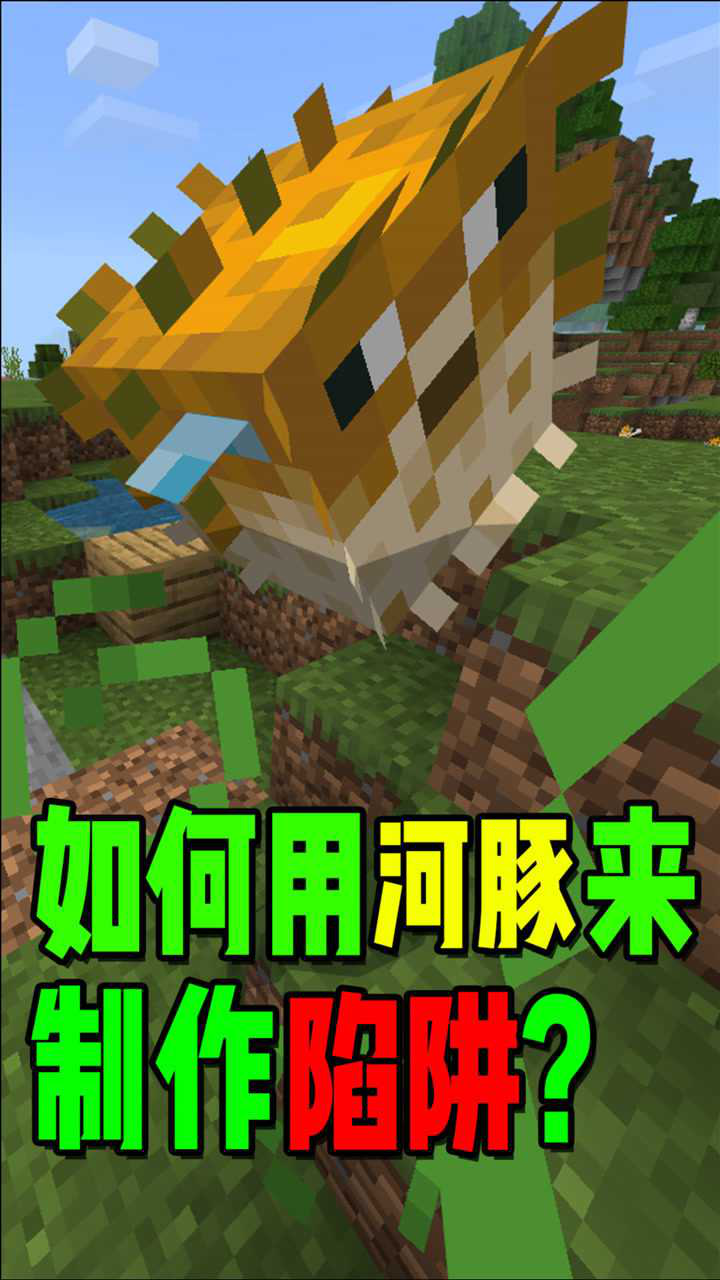 我的世界:万万没想到,河豚还能用来做陷阱?