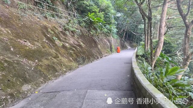 实拍香港山顶富人区,走在山顶小道上,俯瞰整个维多利亚港,真美啊