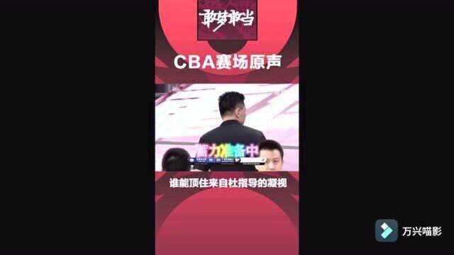 cba奇迹:谁能顶住来自杜指导的凝视