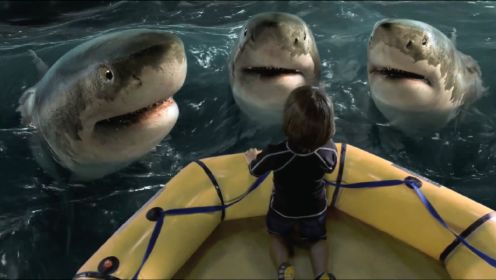 奇幻冒险电影：小男孩每天给鲨鱼喂食，最后鲨鱼为报恩救了他一命