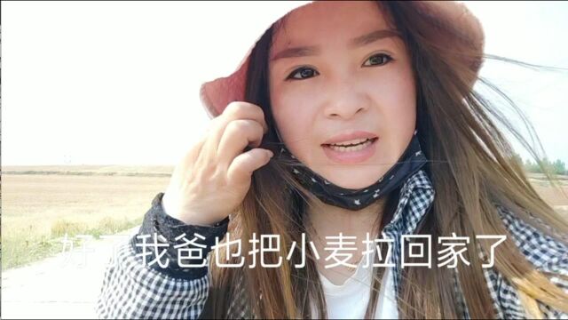 娜娜的日常,感谢vlog让我们记录每天的生活,晚上直播间等