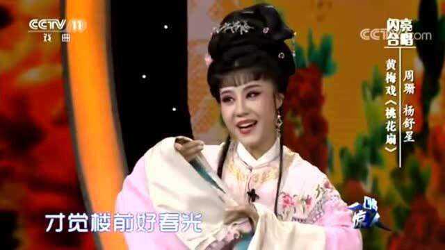 黄梅戏《桃花扇》选段 黄莺树上声声唱 周珊 杨舒星演唱 好听好看!