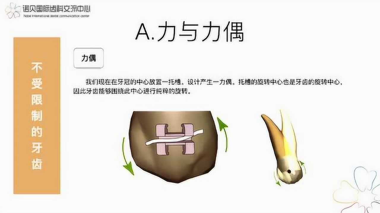 小白正畸系列—正畸生物力学----周茂强_高清1080P在线观看平台_腾讯视频