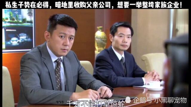 私生子势在必得,暗地里收购父亲公司,想要一举整垮家族企业!