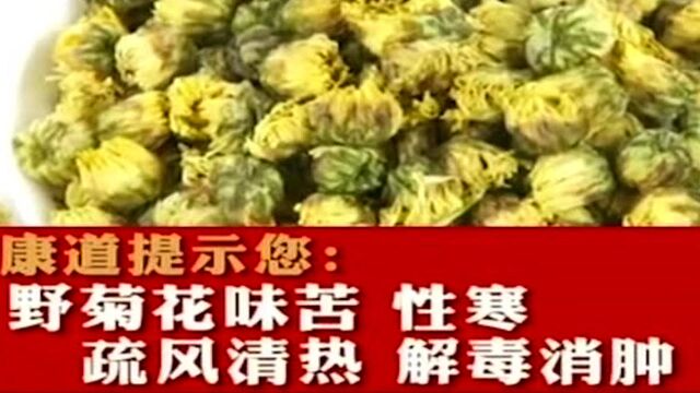 野菊居然能治病?红热肿痛都能治,野菊花的功效竟然这么神奇!