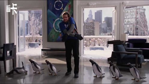 男子在家偷养六只企鹅，比狗狗还粘人，简直太可爱了，喜剧片