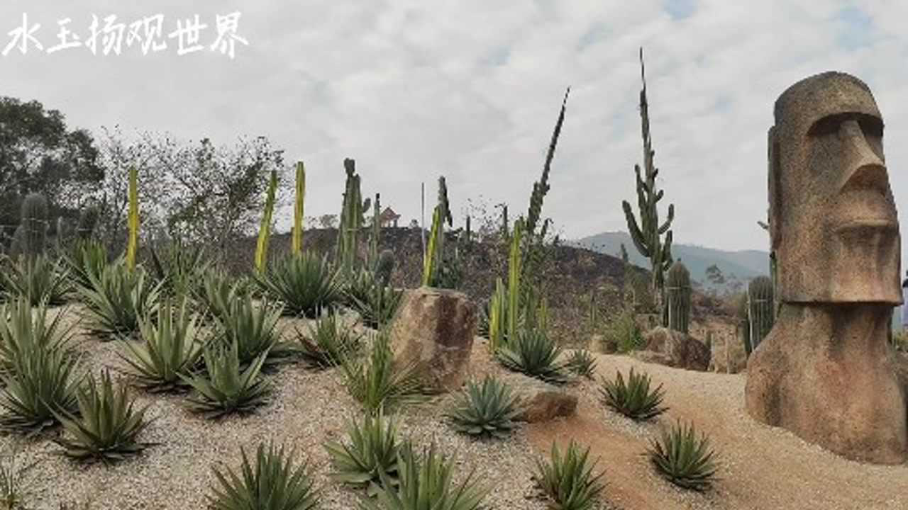 探访福建漳州亚洲最大的仙人掌王国,感受藏匿于巨石像雕塑群中的网红