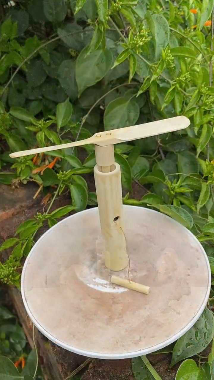 自制竹蜻蜓还有其他哪些回忆你想再来一次