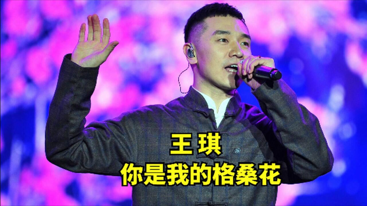 王琪我是你的格桑花深情诉说着凄美的爱情故事