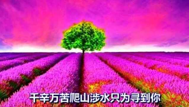 一首网络情歌《永不放手》