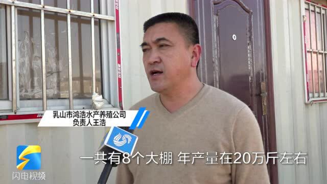 84秒丨助力企业拓销路!家家悦将本地新鲜南美白对虾送到市民餐桌上