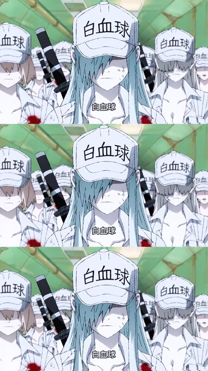 工作细胞:白血球