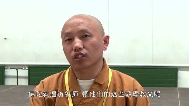 [佛教历史]字幕版德国Abtei中学悟光法师讲座