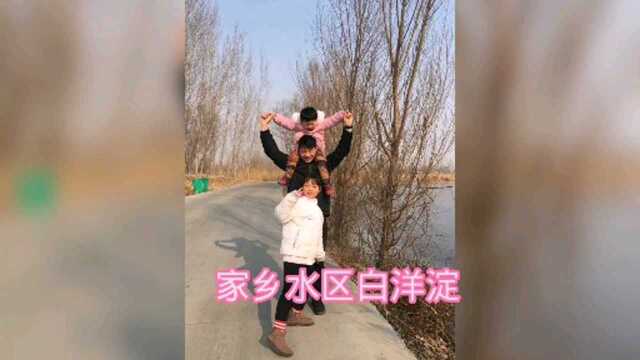 雄安水区白洋淀