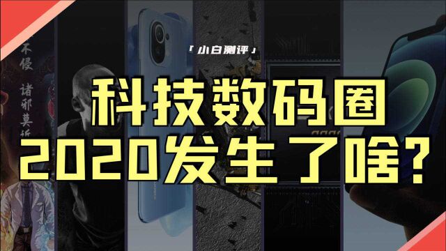 「小白」两分钟看完2020科技数码圈:2021依旧斗志昂扬