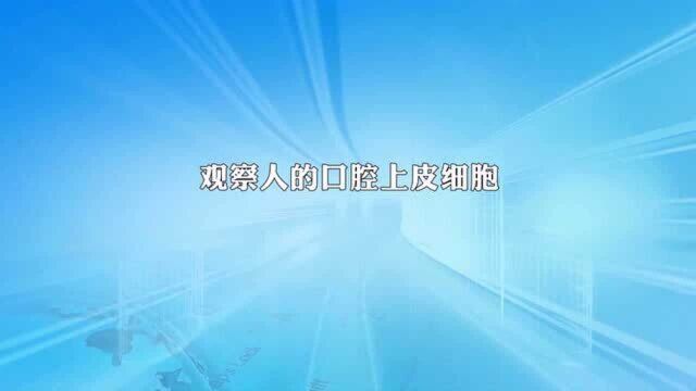 观察人的口腔上皮细胞,普通话发音,讲解仔细透彻