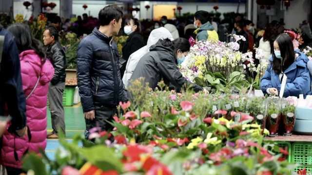 亚洲最大鲜花市场1600种花卉任挑,年前红色系花几近脱销