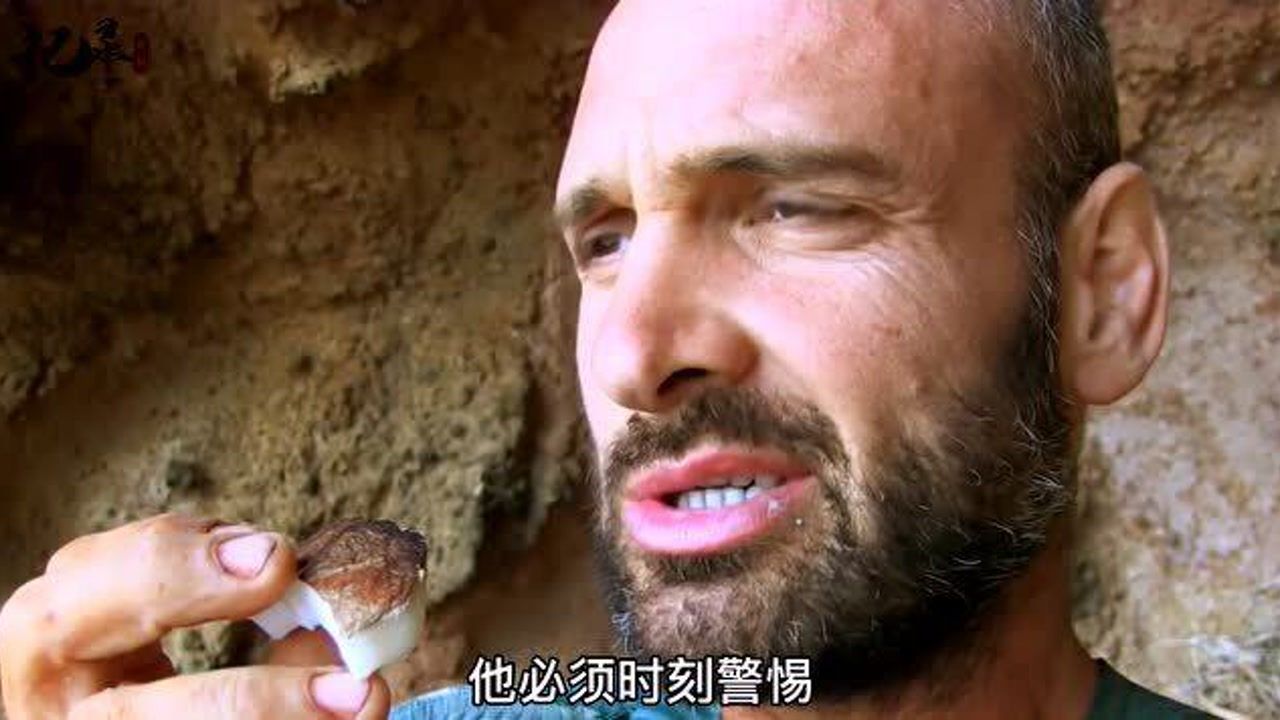 德爷荒野求生找到橙汁喝准备打造房子过日子了开始