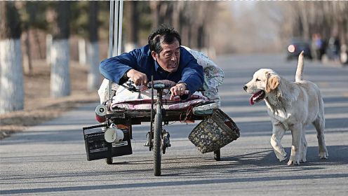狗狗给残疾老汉当了十年车夫，缺钱时被卖了四千块！高分感人电影《忠爱无言》
