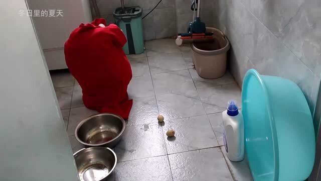 女租客退房,遗留下来的东西,我都舍不得买扔_腾讯视频