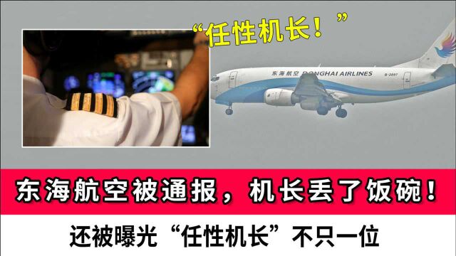 民航局通报东海航空,机长丢了饭碗!还被曝光“任性机长”不只一位