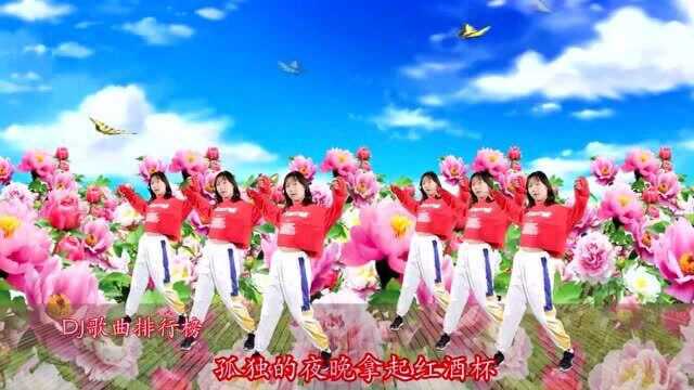 欧阳俊一曲《邻居》DJ何鹏版,动感好听