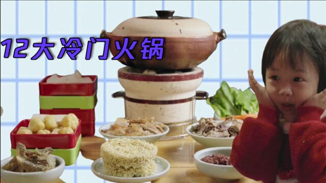 盘点十二大冷门火锅,《沸腾吧火锅》全占了?