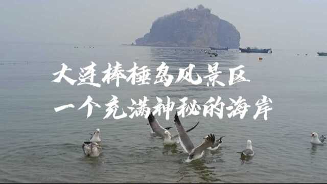 大连春季旅游打卡,棒棰岛风景区,必去的六大景点