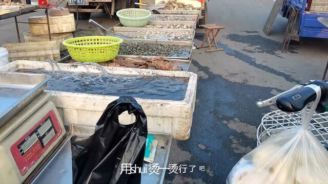 八爪鱼不红烧不水煮,海边人教你新吃法,又鲜又嫩,吃一次就上瘾