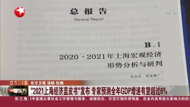 “2021上海经济蓝皮书”发布 专家预测全年GDP增速有望超过6%