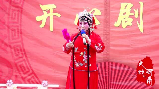 丁艳红演唱:豫剧《花打朝》“小郎门外连声请”选段