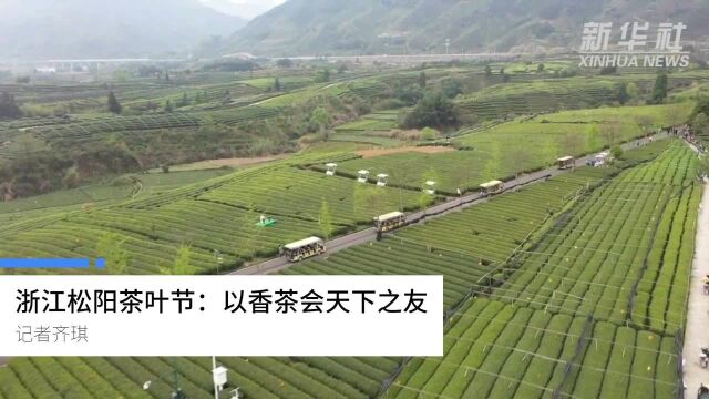 浙江松阳茶叶节:以香茶会天下之友