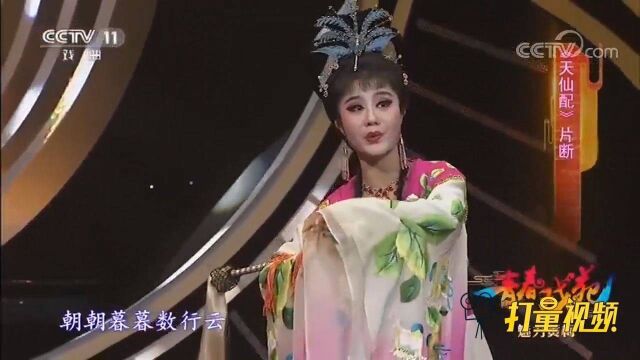 杨舒星演绎黄梅戏《天仙配》,人美歌甜开口跪,听不够