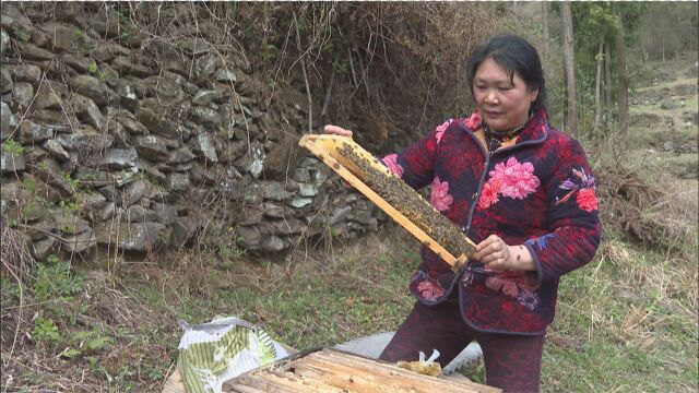 神农架宋洛乡中岭村养殖大户吴天荣的收入账