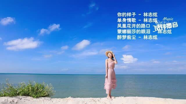 林志炫歌曲精选《你的样子》《 单身情歌》《凤凰花开的路口》《 蒙娜丽莎的眼泪 》《 醉梦前尘》