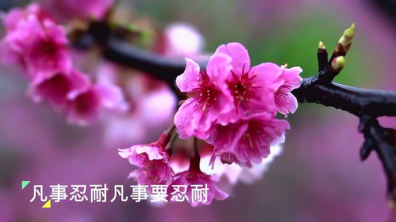 诗歌《爱的真谛》_高清