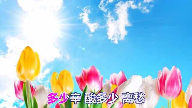 一首经典情歌《背叛的借口》