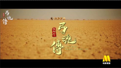 新疆骆驼客为保护抗日急需药品，斗智斗勇，用热血书写“弓魂”