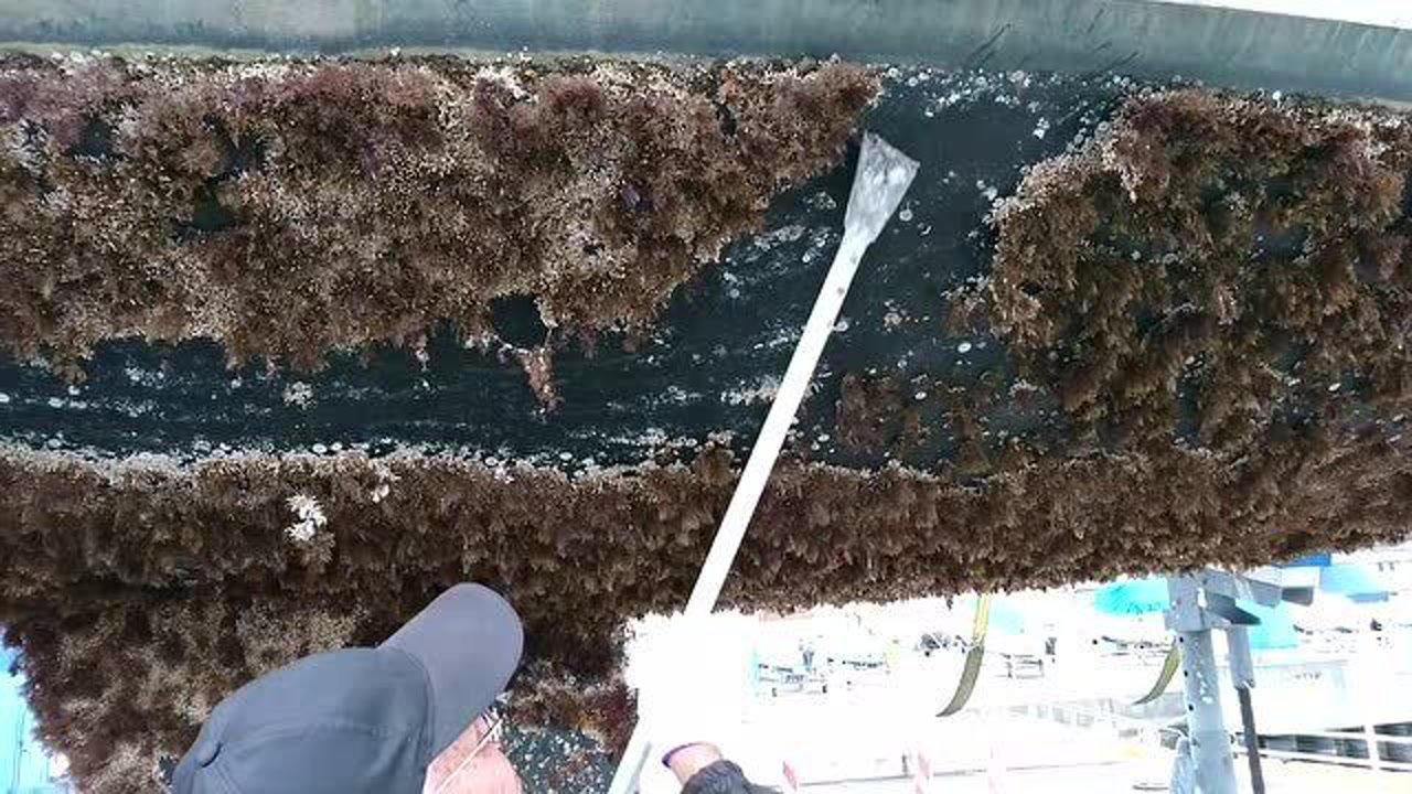 清理船底藤壶 解压神器_腾讯视频