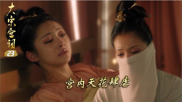 速看《大宋宫词》23集:刘娥不计前嫌救潘玉姝,元侃得知郭贤阴谋