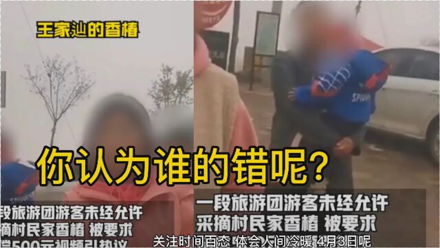 河南鹤壁游客摘香椿被要500元,村支书:有提示,未经允许就是偷