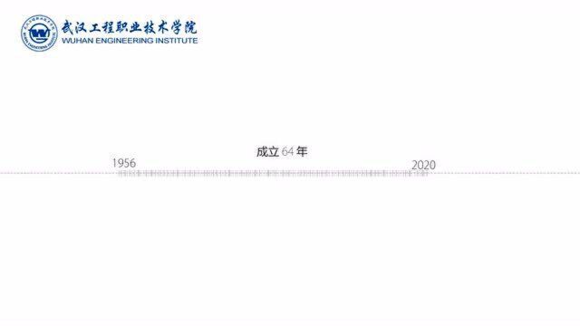 湖北高校推荐——武汉工程职业技术学院