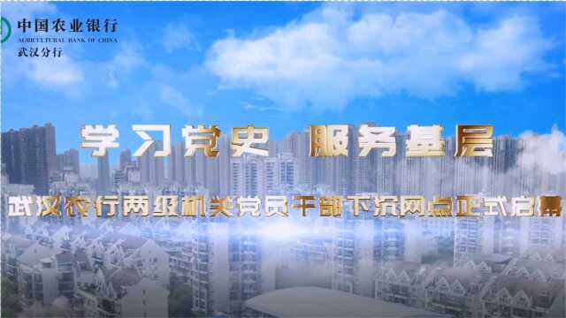 武汉农行举行两级机关党员干部下沉网点动员大会