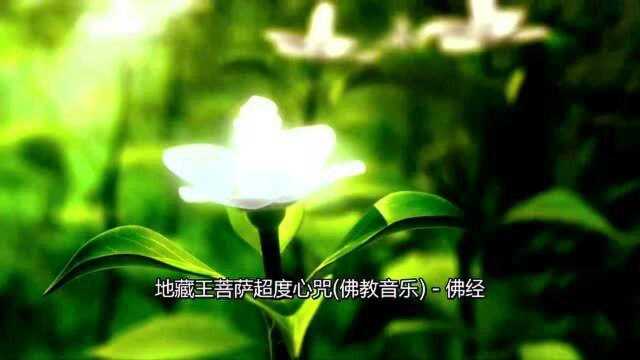 《地藏王菩萨超度心咒》,来自内心的佛教歌曲,静心聆听