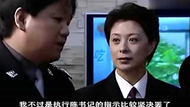 至高利益:所长带人查市长助理的房间,直接惊动市长和市委书记