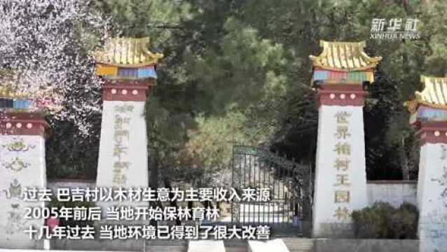 中国宝“藏”|西藏巴吉村:“雪域江南”小村庄的三十年巨变