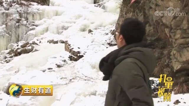 清原大叔承包景区建设滑雪项目,吸引游客游玩增收获益