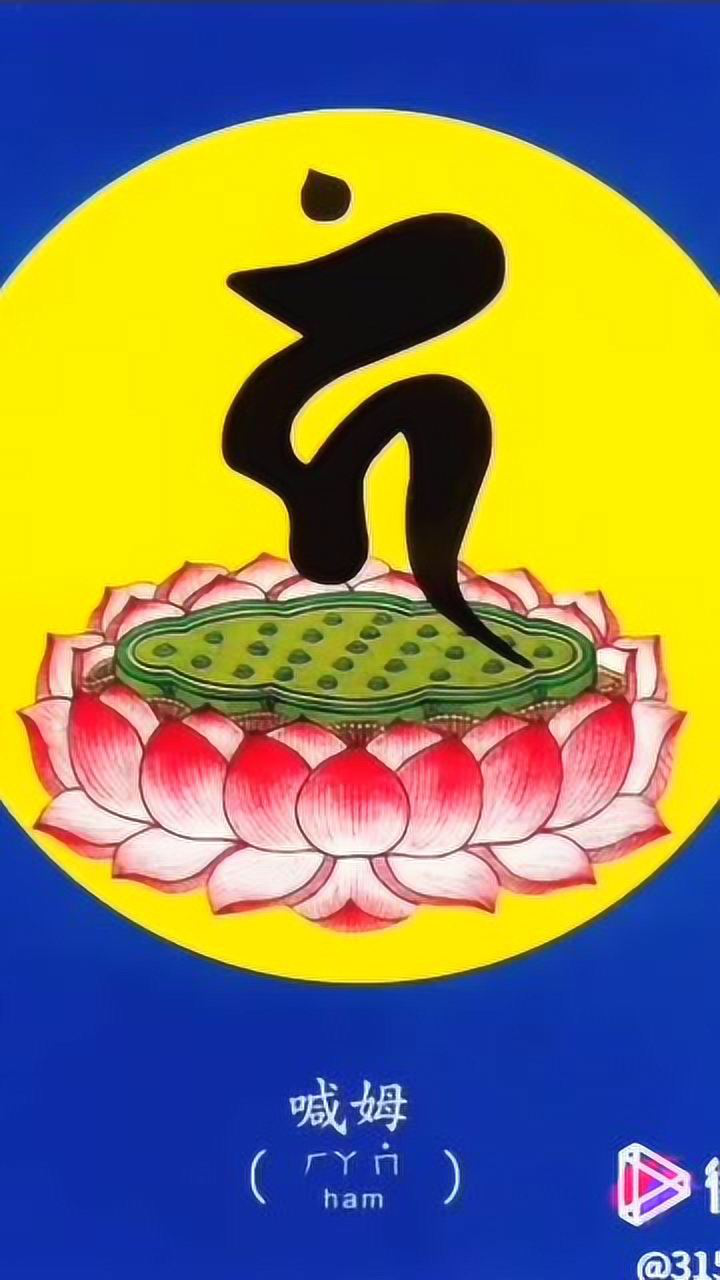 《安乐妙宝》种子字_腾讯视频