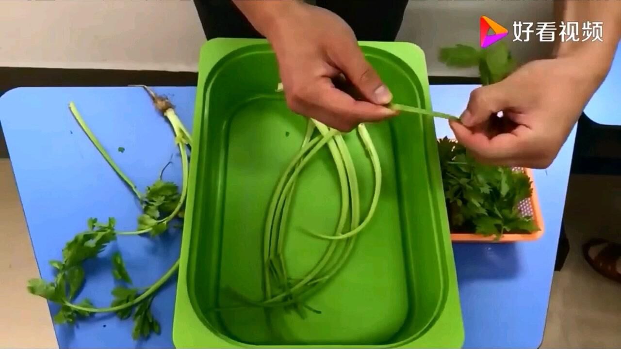 择菜