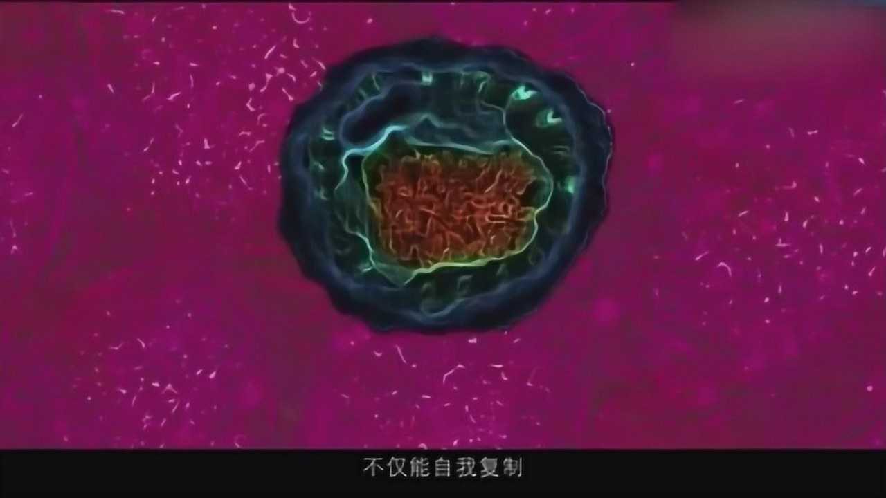 长生露宣传片